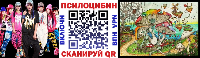 купить наркотики сайты Сальск Псилоцибиновые грибы Psilocybe